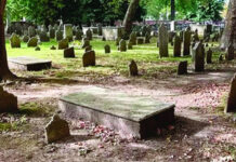 Man arrested for stealing cemetery body parts in Hungary