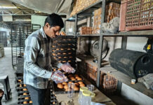 Ahmedabad civic body collects 709 food samples in June; 46 fail safety and quality tests